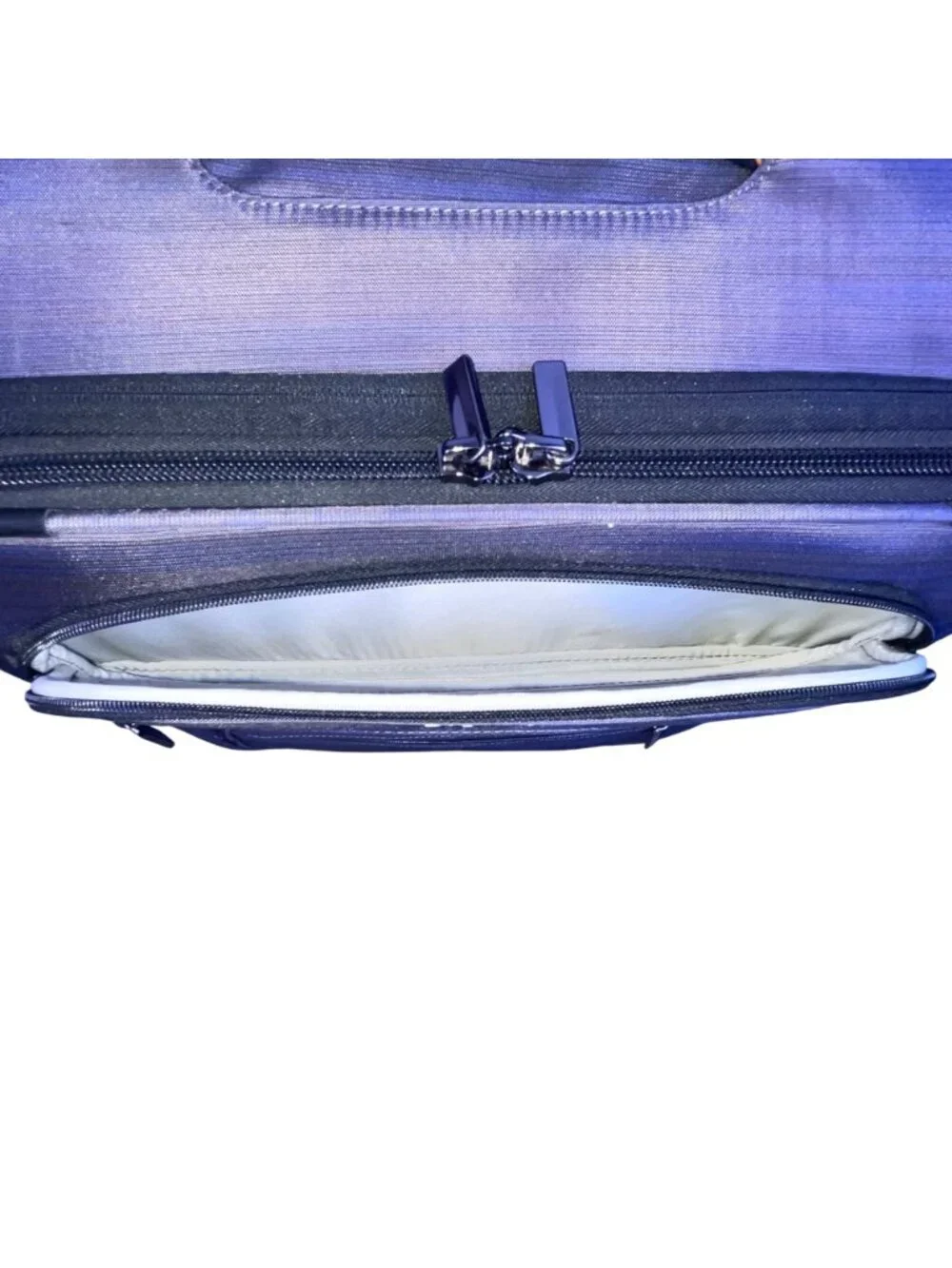 Ricardo Men’s Gray & Blue Blend Nylon 4-Wheel Spinner Expandable Travel Luggage